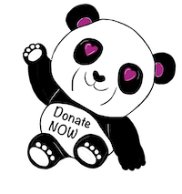 Donate with PayPal button